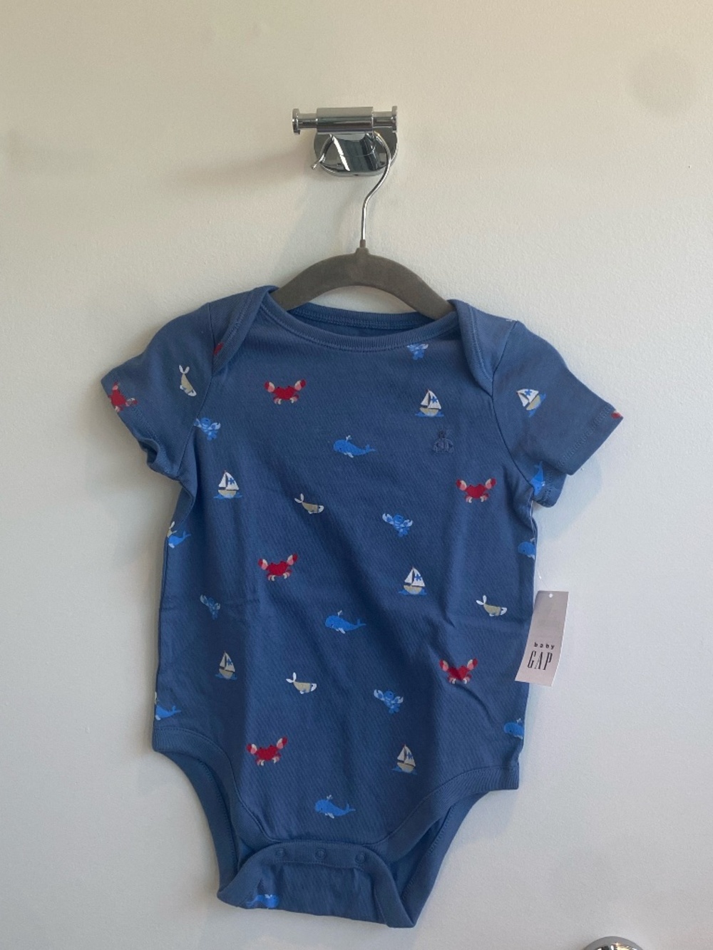 Baby First Favorites Organic Cotton Bodysuit